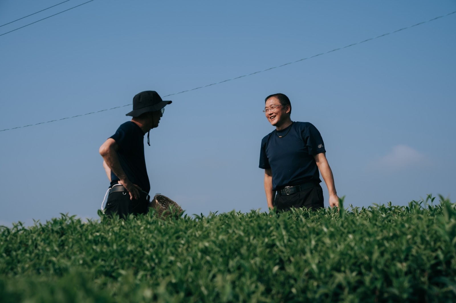 茶畑で語らう生産者